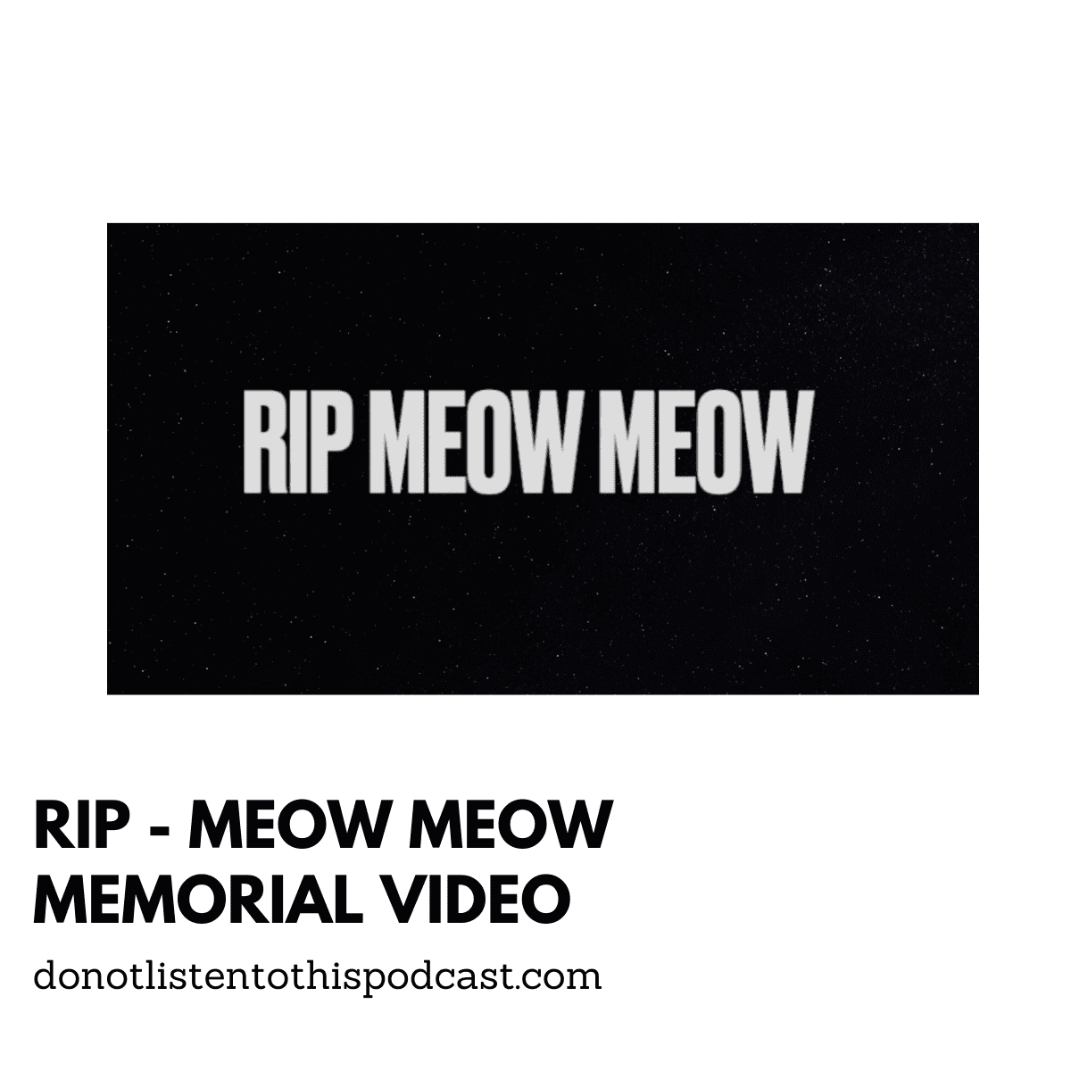RIP Meow Meow Video post thumbnail image