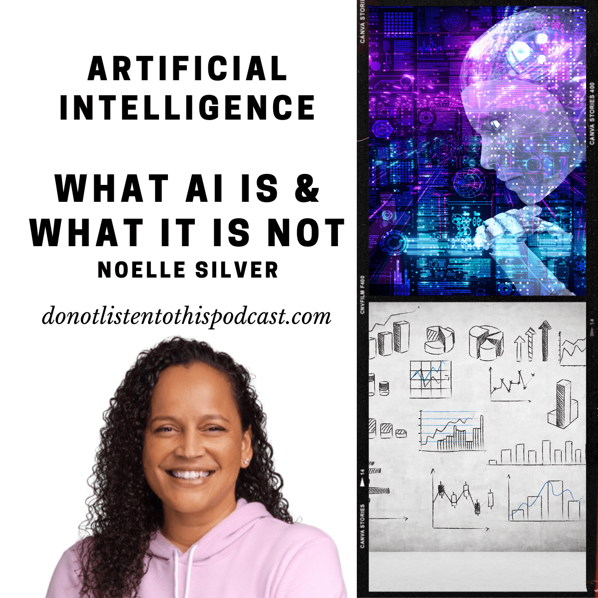 Noelle Silver joins me to chat about what Artificial Intelligence is and is not post thumbnail image